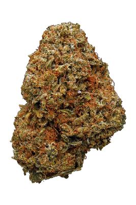 $100 OG - Hybrid Cannabis Strain by Hytiva $100 OG - Hybrid Cannabis Strain