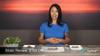 $100 OG - Hybrid Cannabis Strain by Hytiva $100 OG - Hybrid Strain