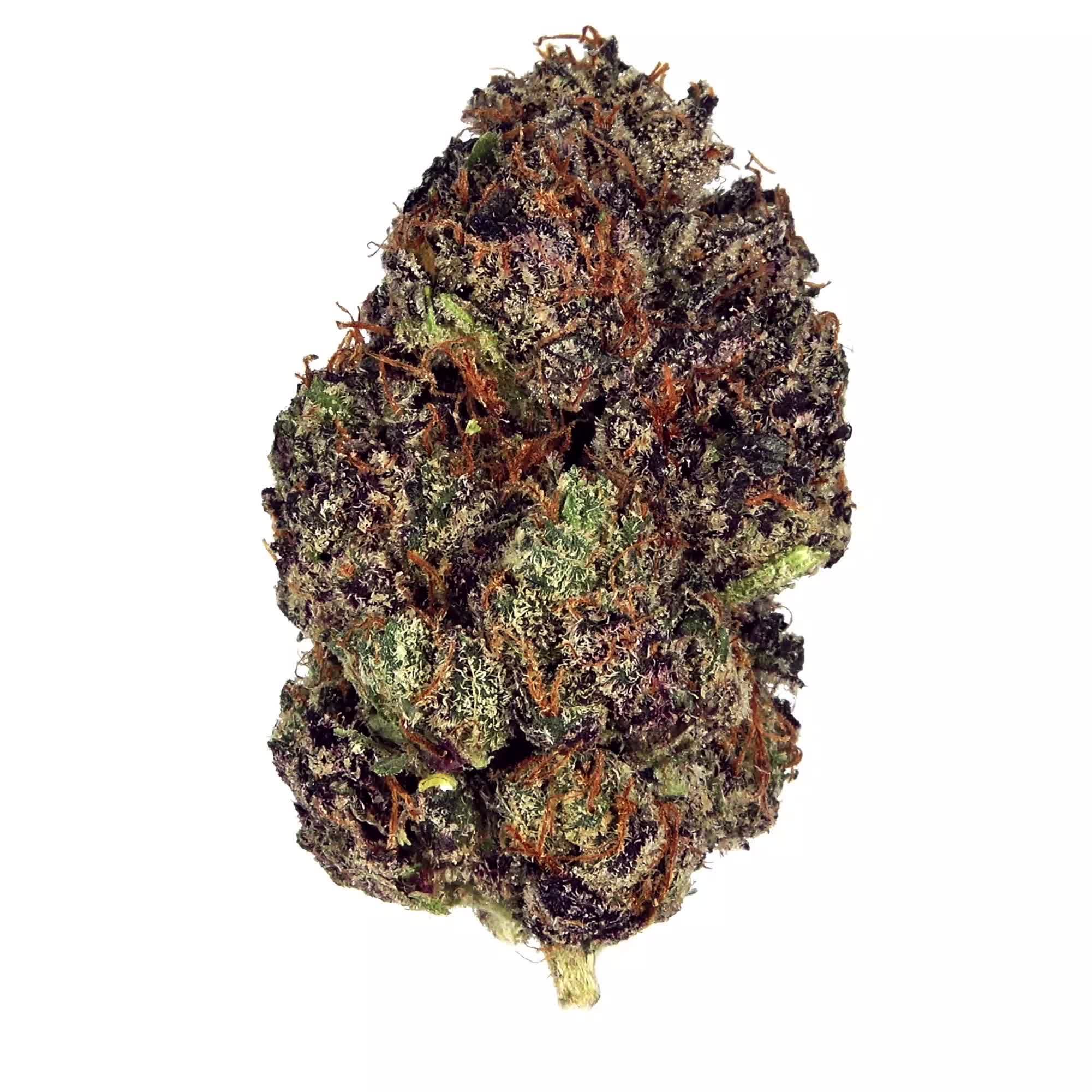 Purple Cactus 360 Bud
