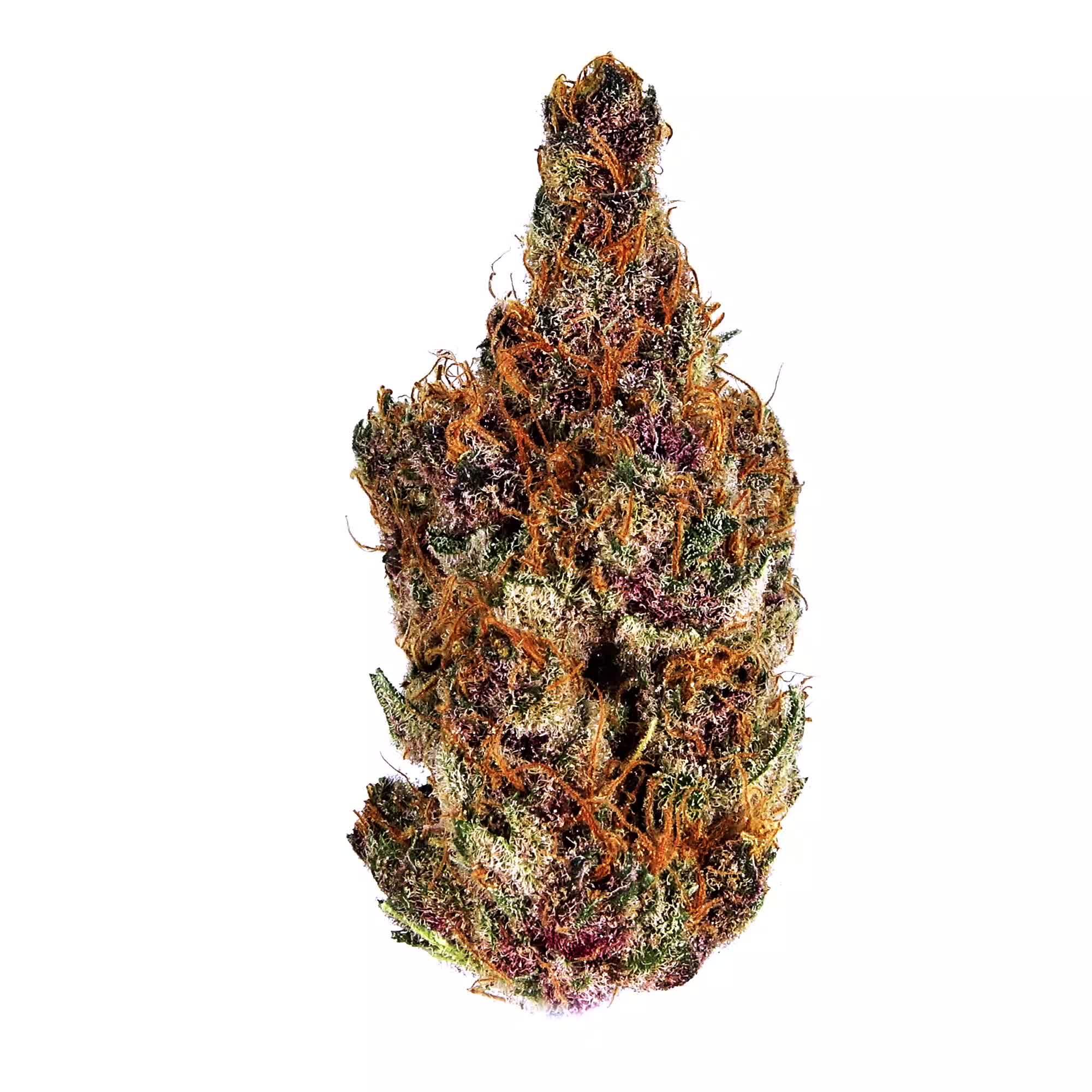 Purple Wookie 360 Bud