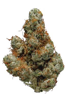 A-Dub - Hybrid Cannabis Strain by Hytiva A-Dub - Hybrid Cannabis Strain