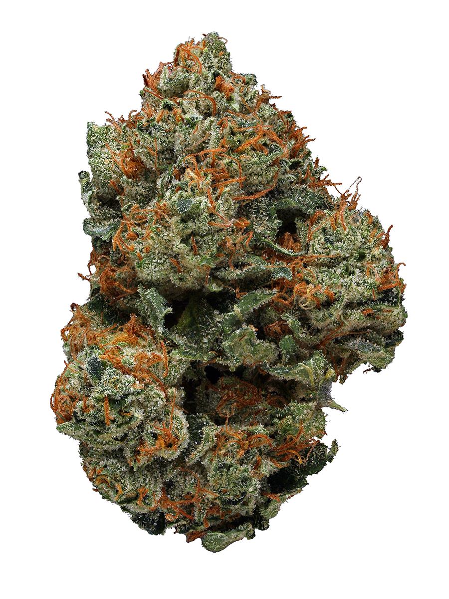 B.T.Y OG - Hybrid Cannabis Strain