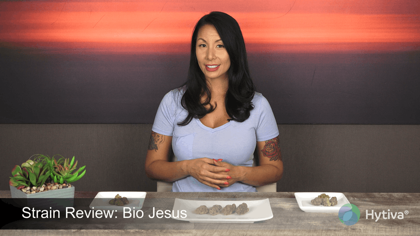Strain Review: Bio Jesus Youtube Video