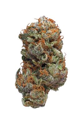 Bio Jesus - Hybrid Cannabis Strain by Hytiva Bio Jesus - Hybrid Cannabis Strain