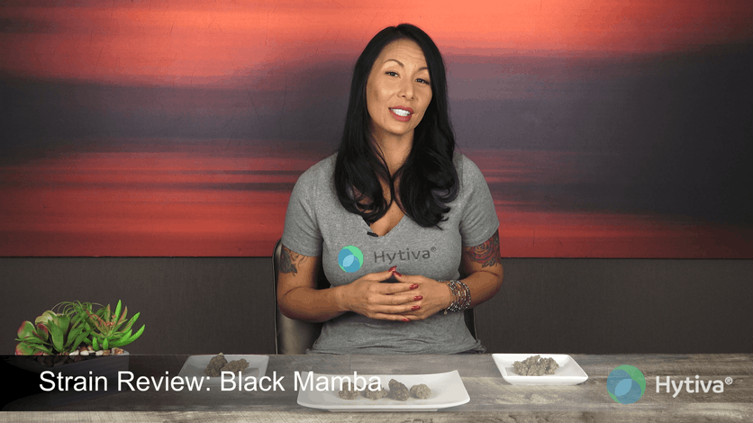Strain Review: Black Mamba Youtube Video