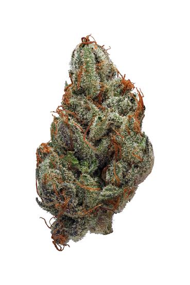 Blue Magic - Sativa Cannabis Strain by Hytiva Blue Magic - Sativa Cannabis Strain