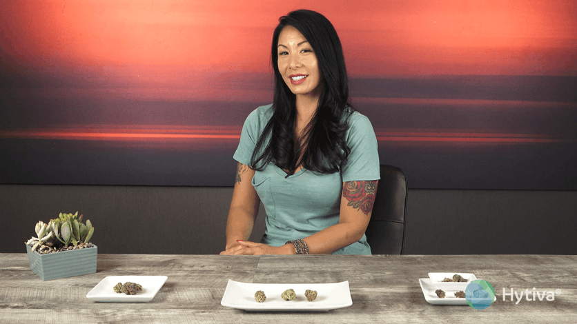 Strain Review: Blueberry Youtube Video
