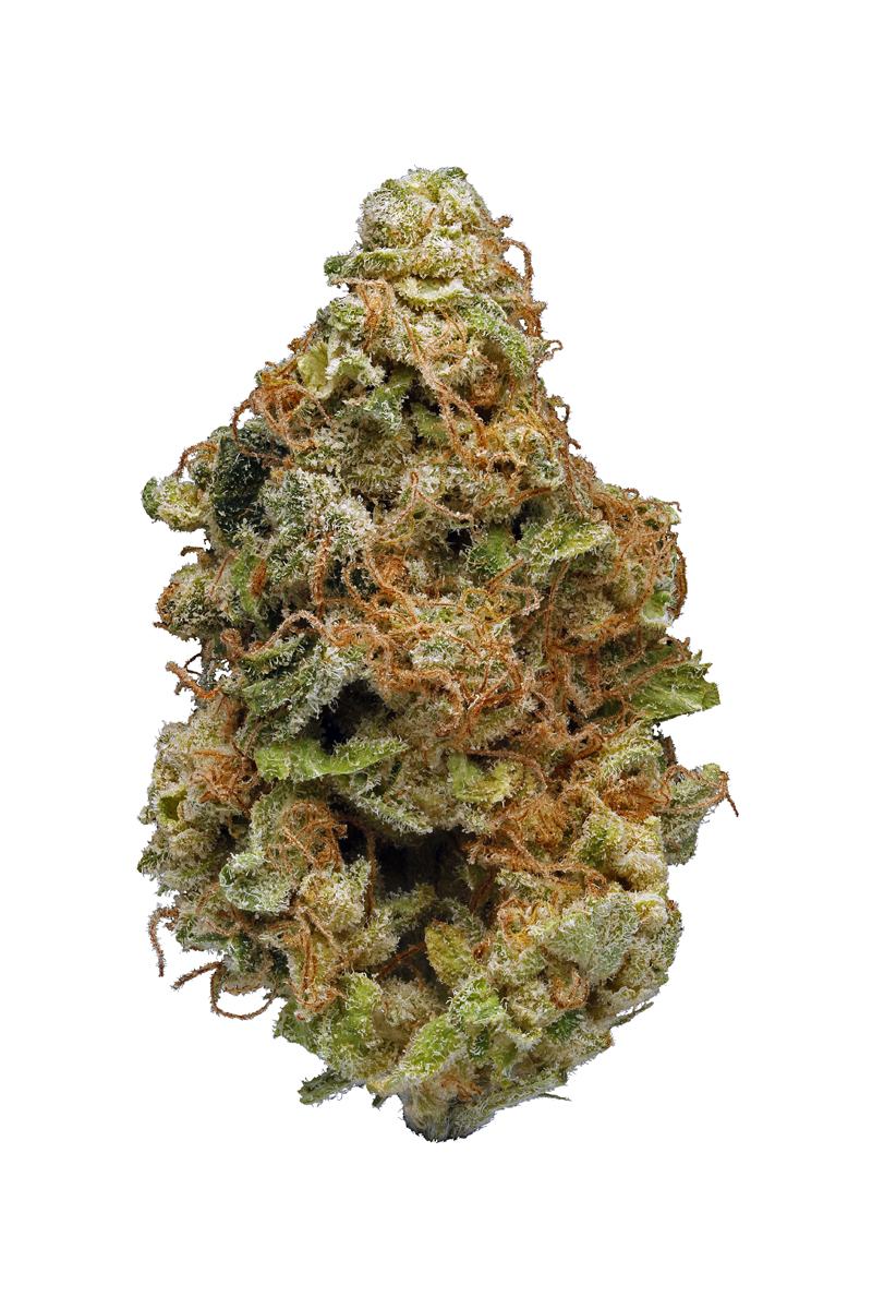 Bordello - Hybrid Cannabis Strain