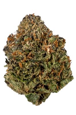 Burkle - Indica Cannabis Strain by Hytiva Burkle - Indica Cannabis Strain
