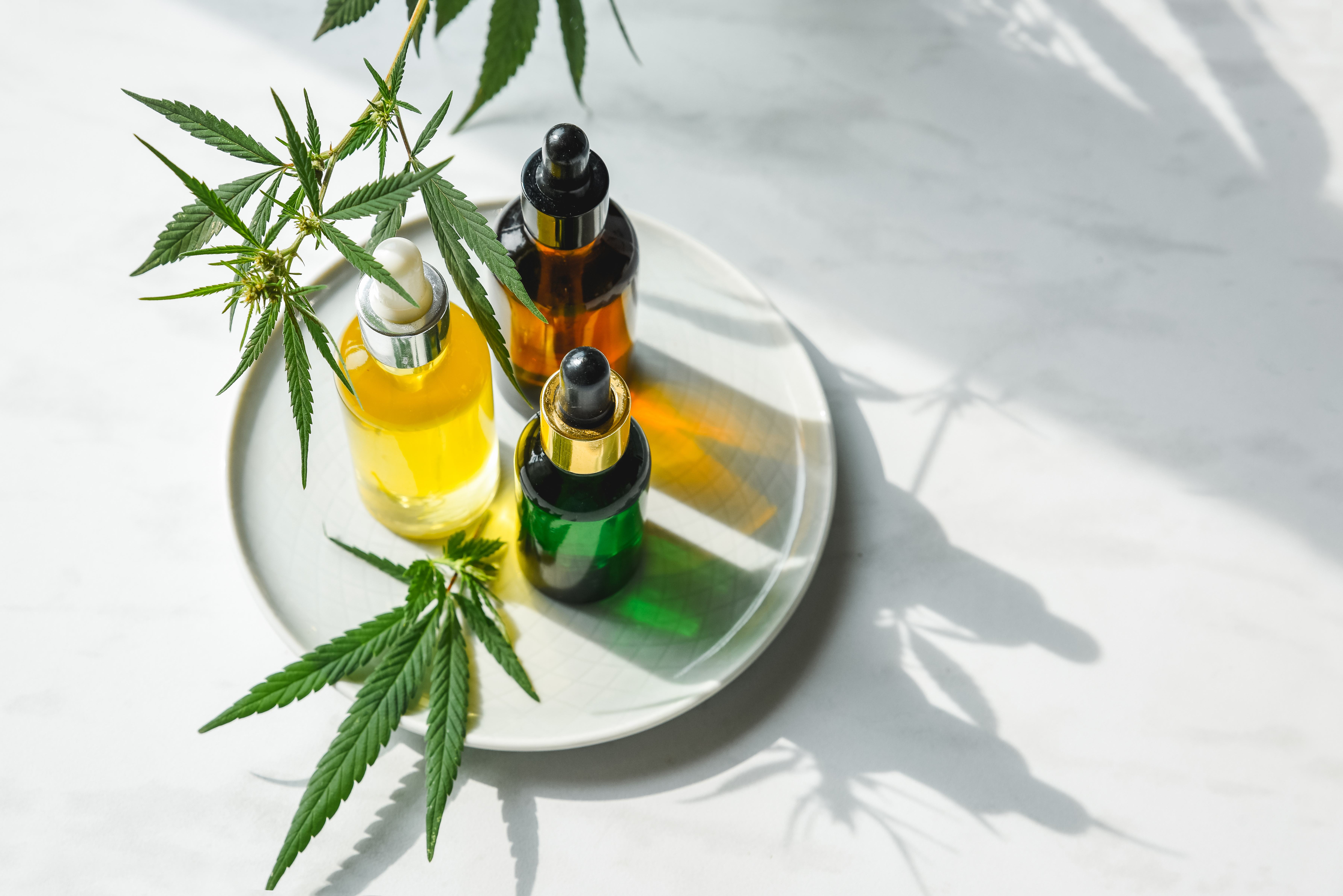 What is CBD and What are CBD Tinctures?