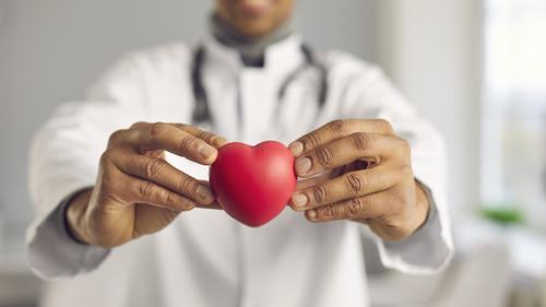 Cannabis & the Cardiovascular System