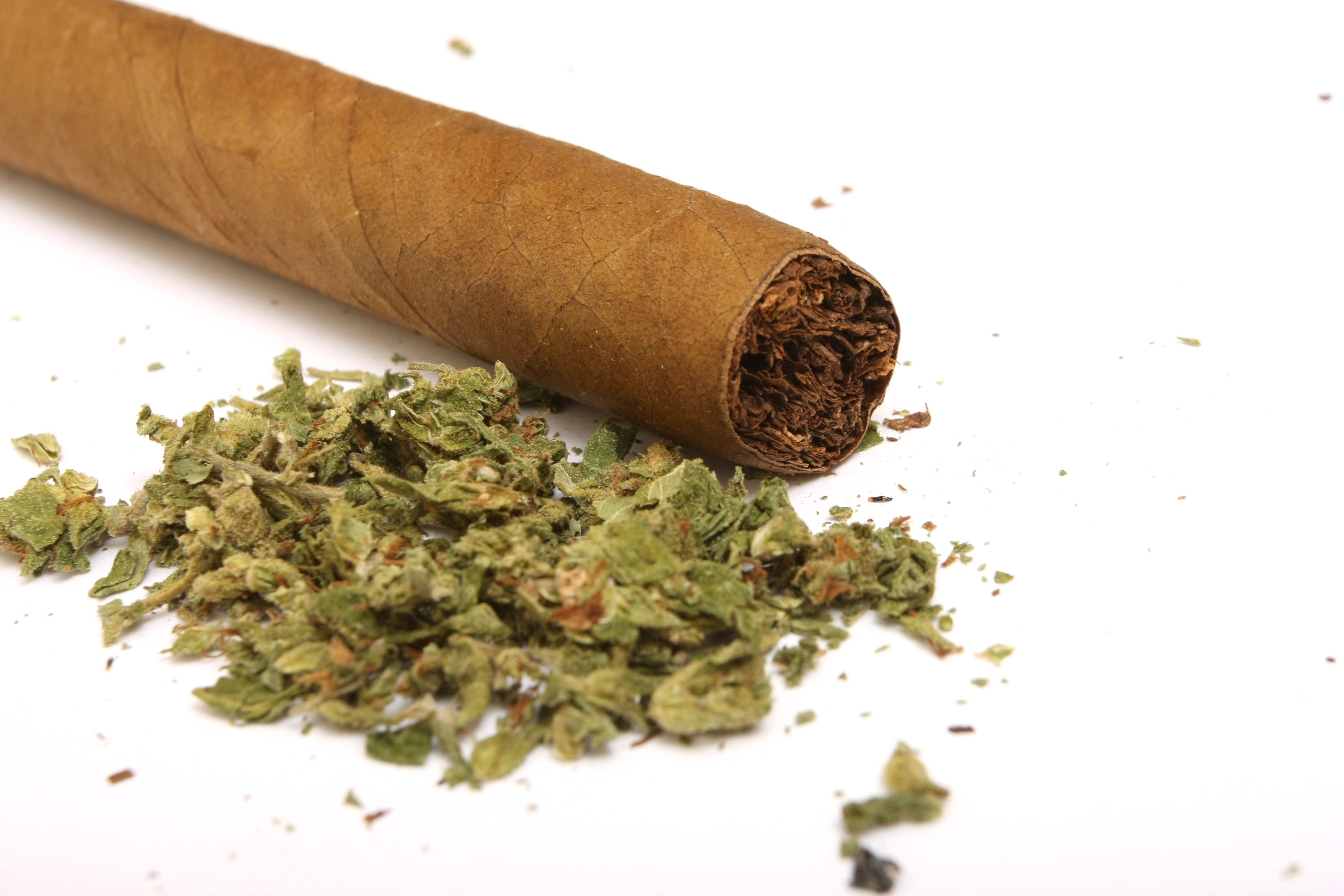 A brown cannabis blunt with the end cut sits behind a pile of loose flower.