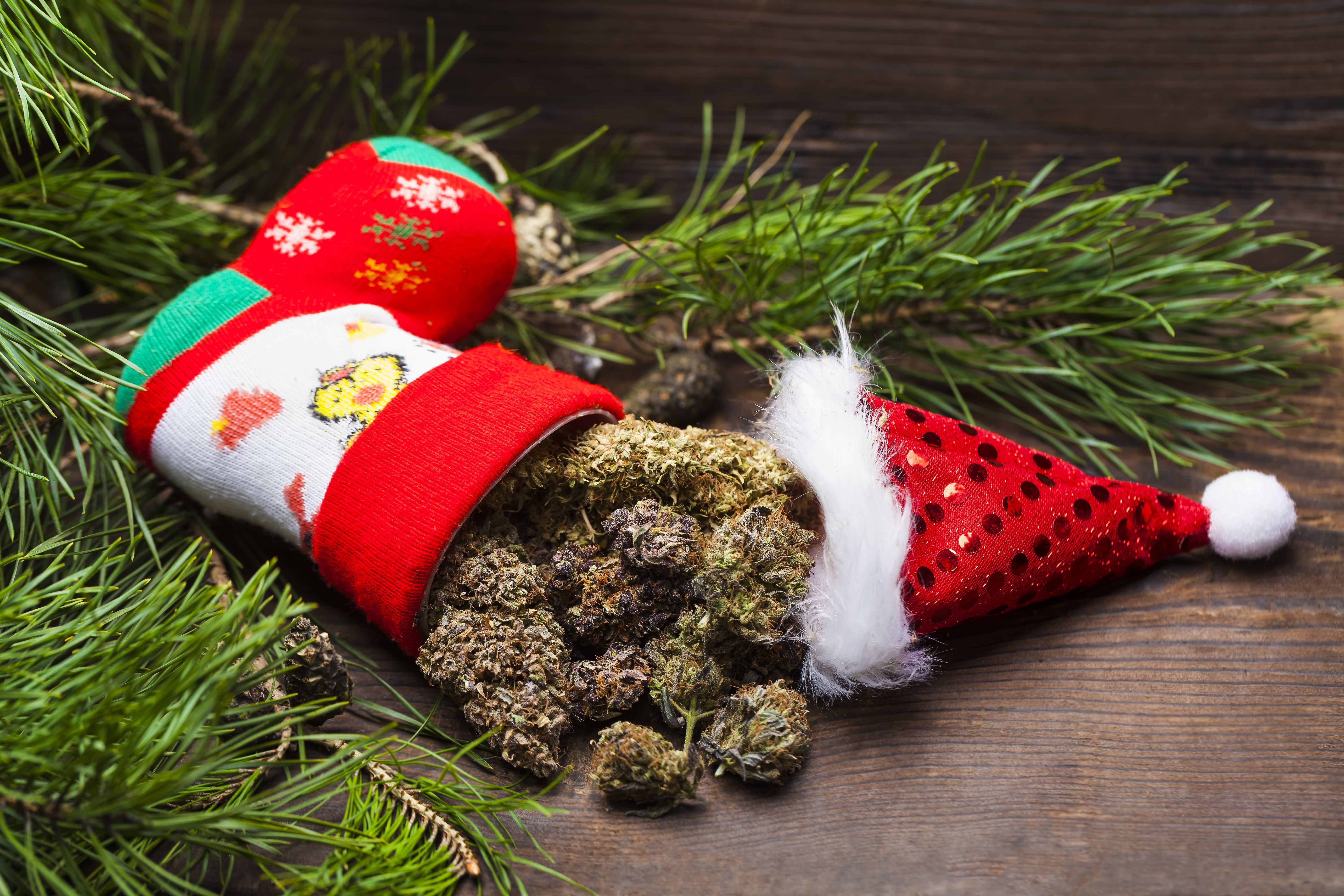 Ten Cannabis Strains that will Liven up any Holiday Celebration