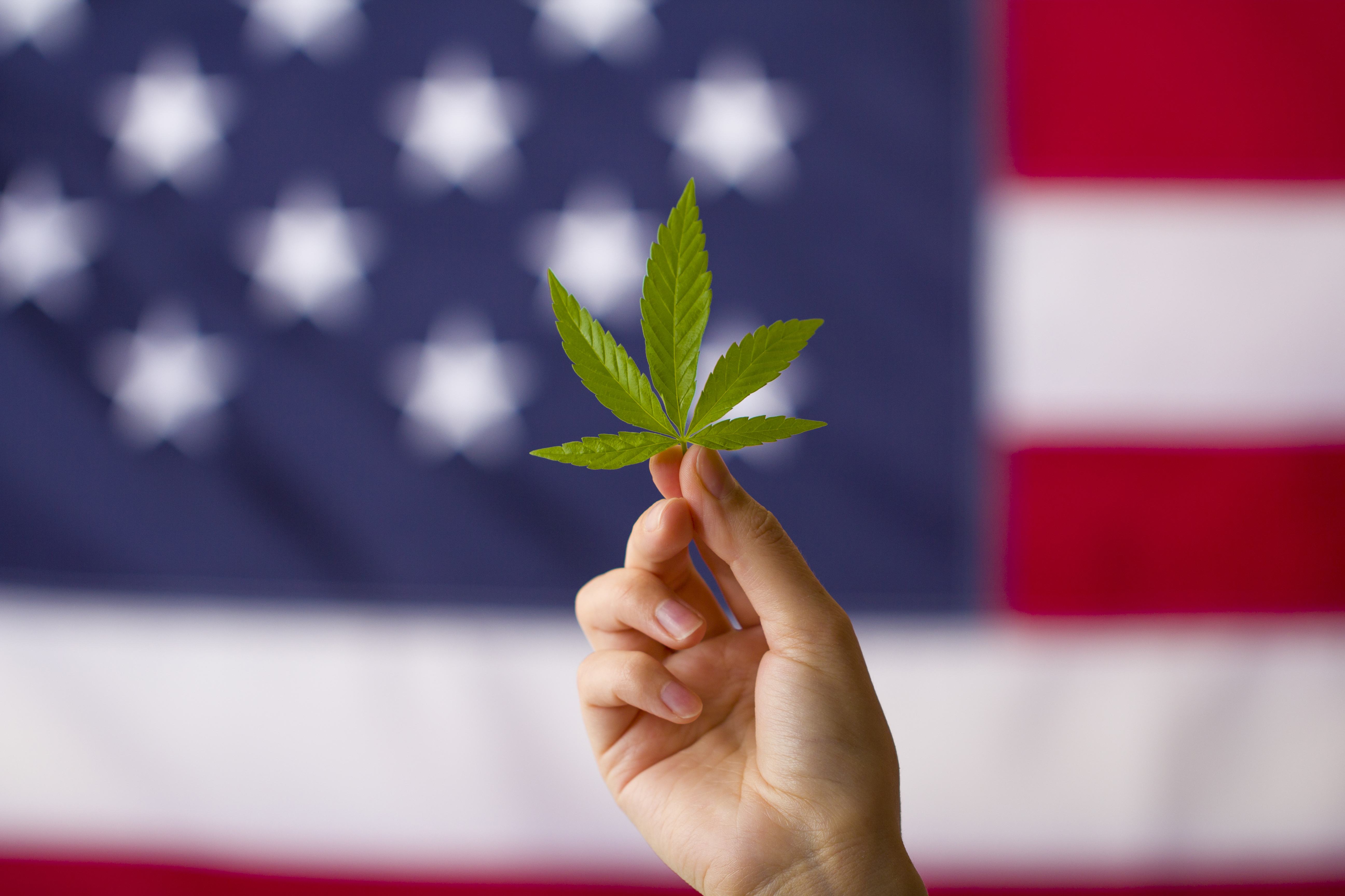 Five States that may go Legal in 2023