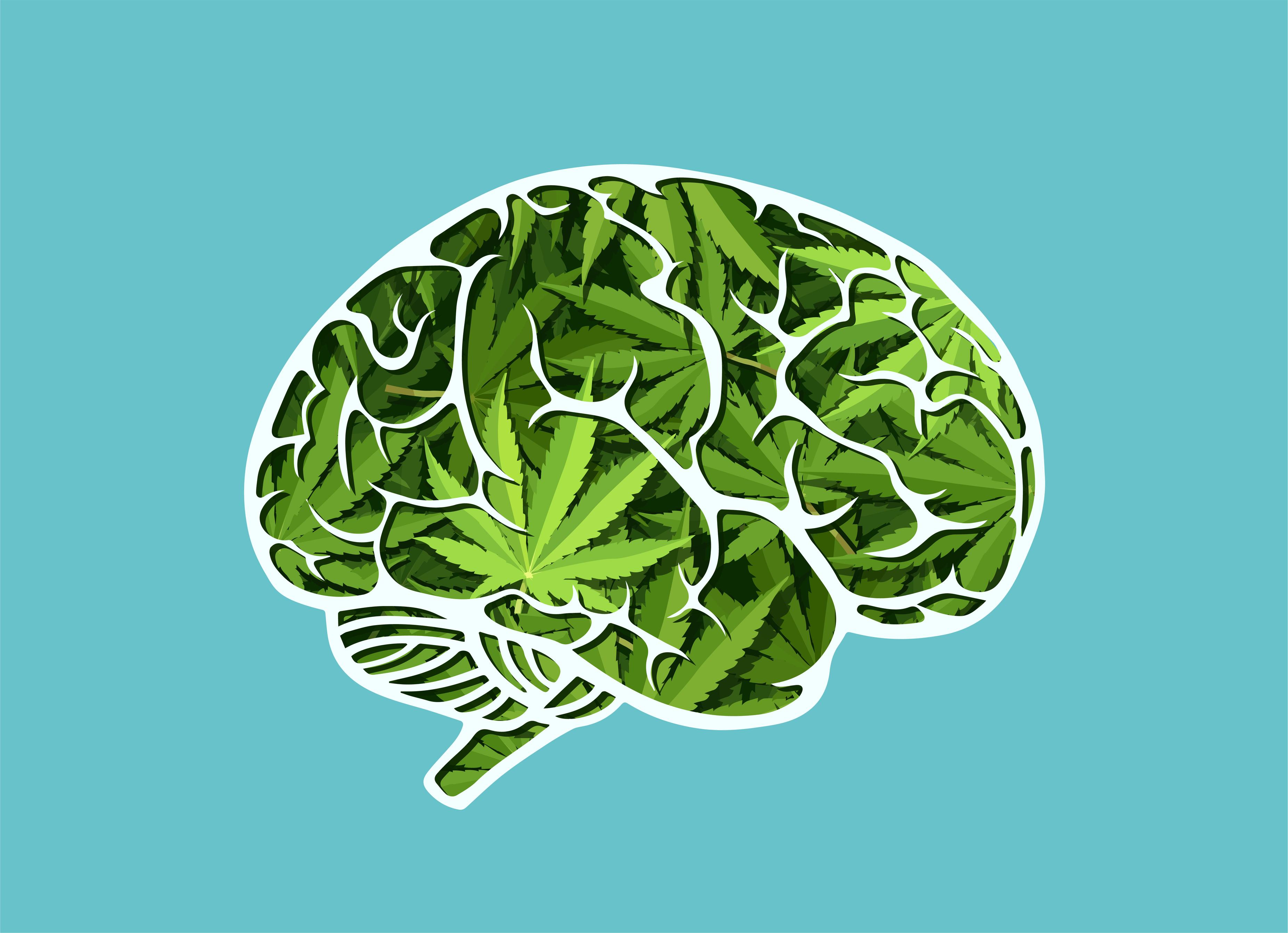 Inside the Endocannabinoid System: UC-Irvine Professor Speaks on “The Brain’s Own Cannabis”