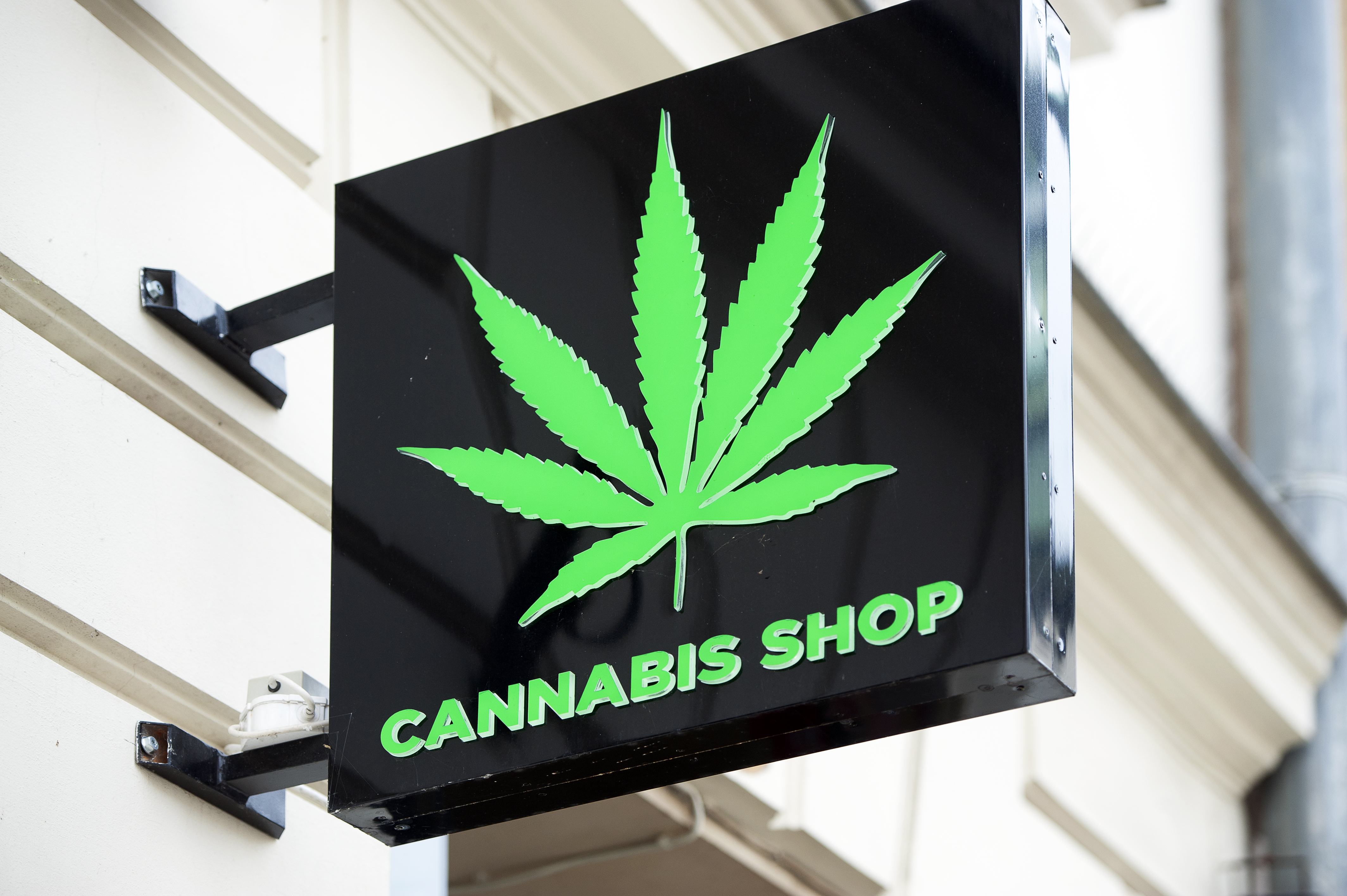 A green cannabis leaf with the words cannabis shop on a black square sign.