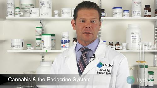 Cannabis & the Endocrine System