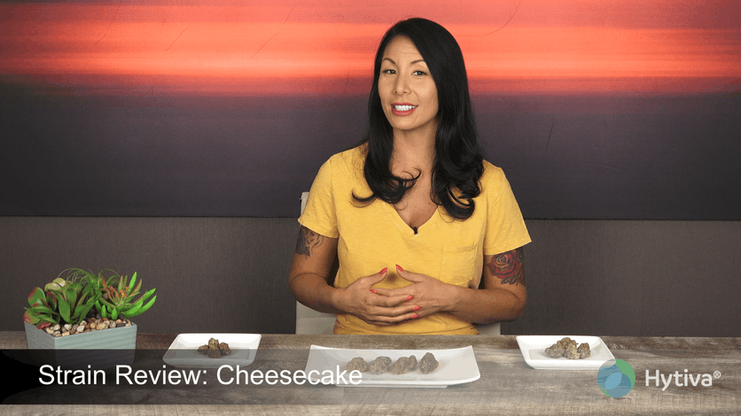 Strain Review: Cheesecake Youtube Video
