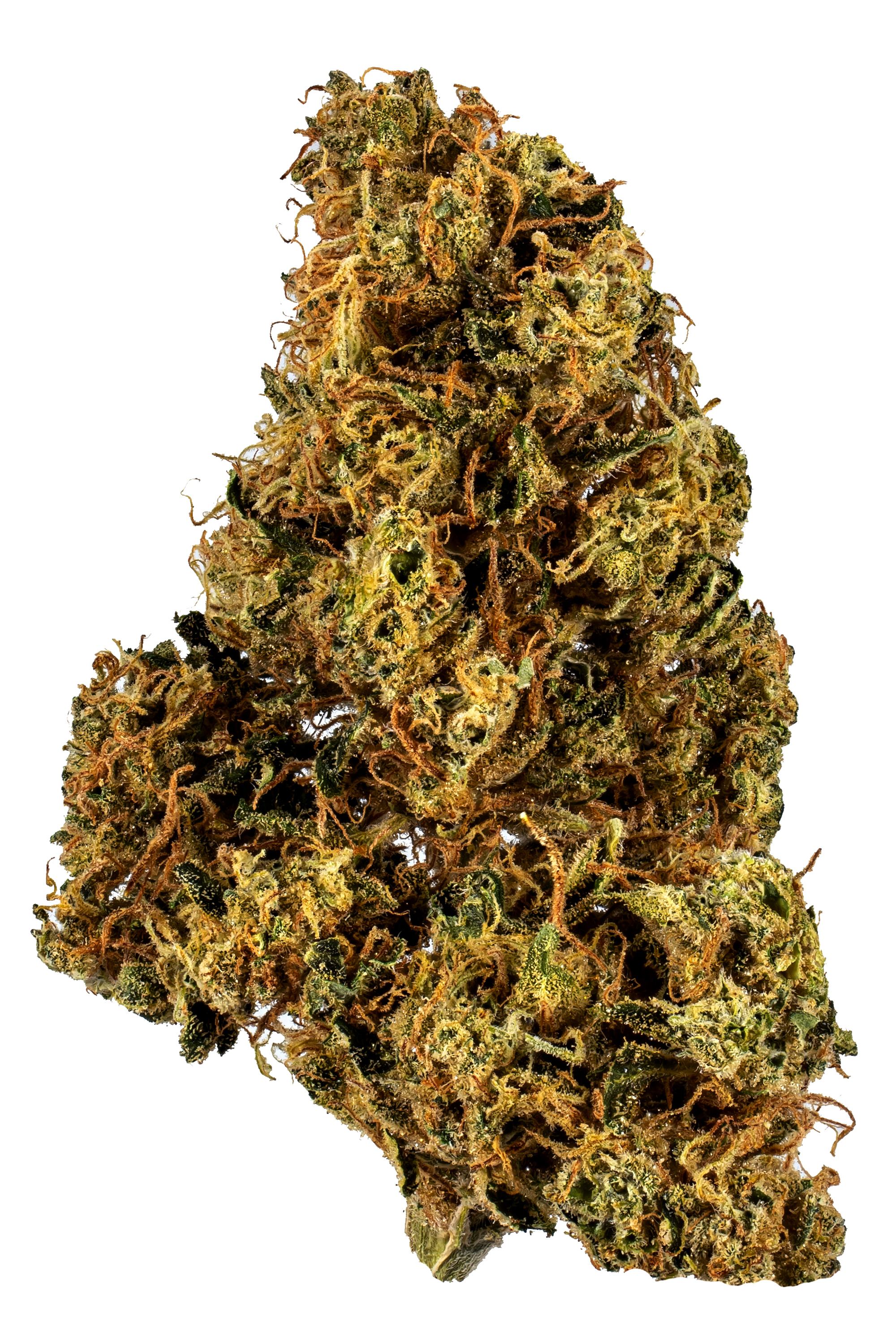 91 Chemdawg - Sativa Cannabis Strain