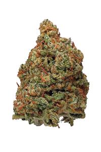 Chernobyl - Hybrid Cannabis Strain by Hytiva Chernobyl - Hybrid Cannabis Strain
