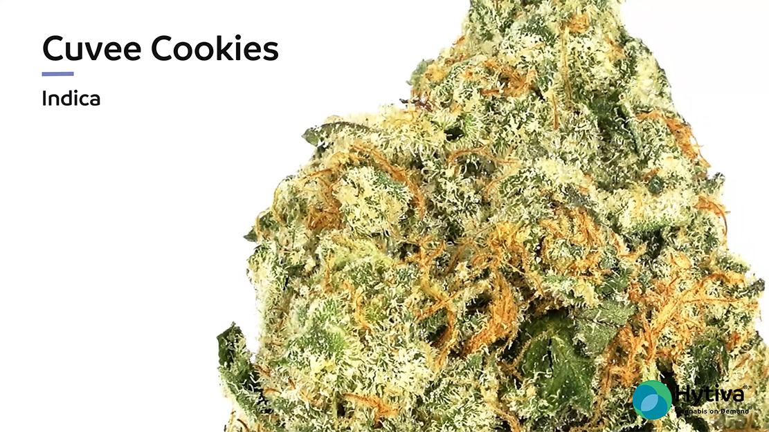 Strain review video: Cuvee Cookies