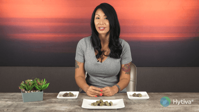 Desert Snow - Hybrid Cannabis Strain by Hytiva Desert Snow - Hybrid Strain