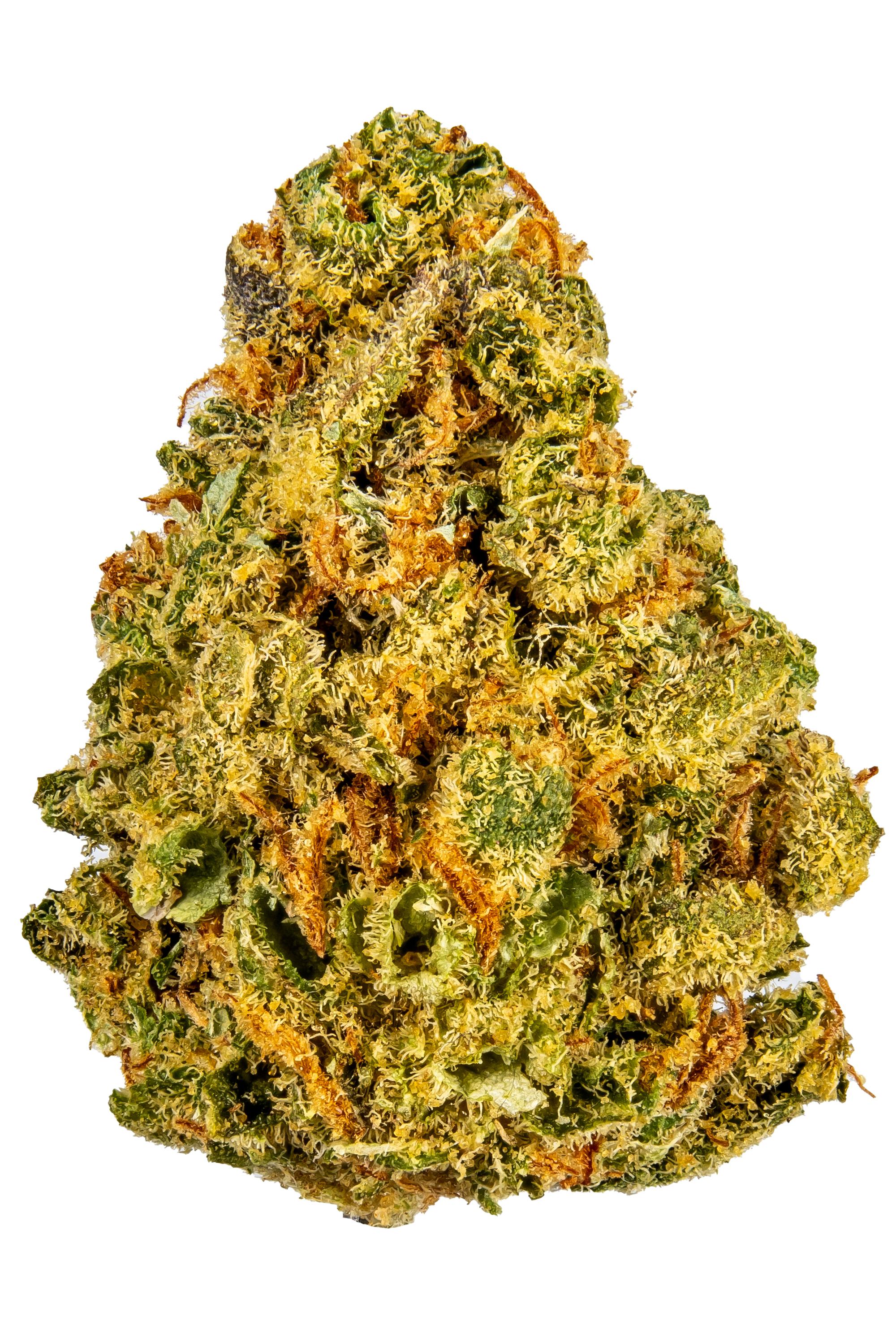 Dizzy Dream - Hybrid Cannabis Strain