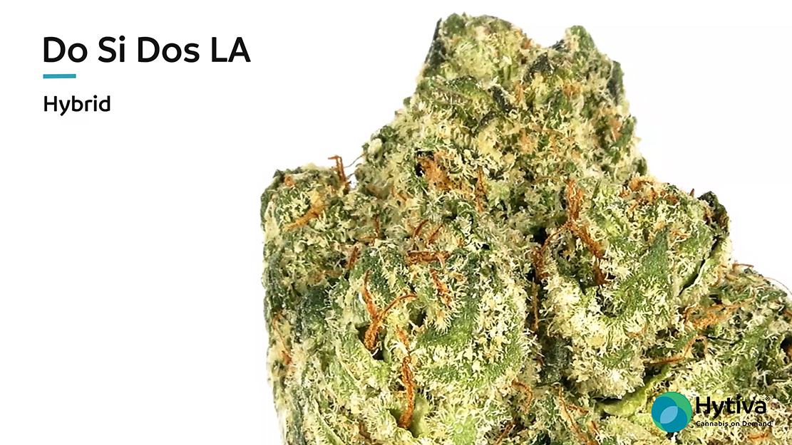 Strain review video: Do Si Dos LA