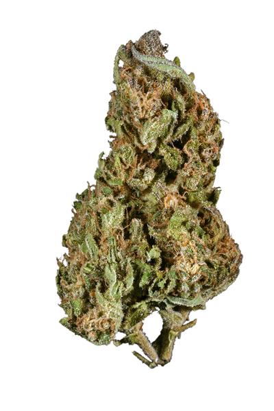 Double Purple Doja - Hybrid Cannabis Strain