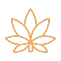 How to Properly Maintain Your Tolerance of Cannabis: Cycling