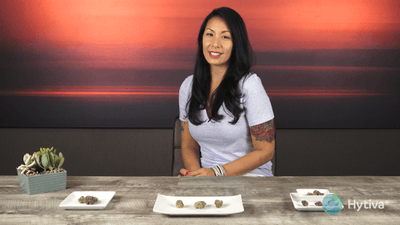 Fruity Chronic Juice - Indica Cannabis Strain by Hytiva Fruity Chronic Juice - Indica Strain