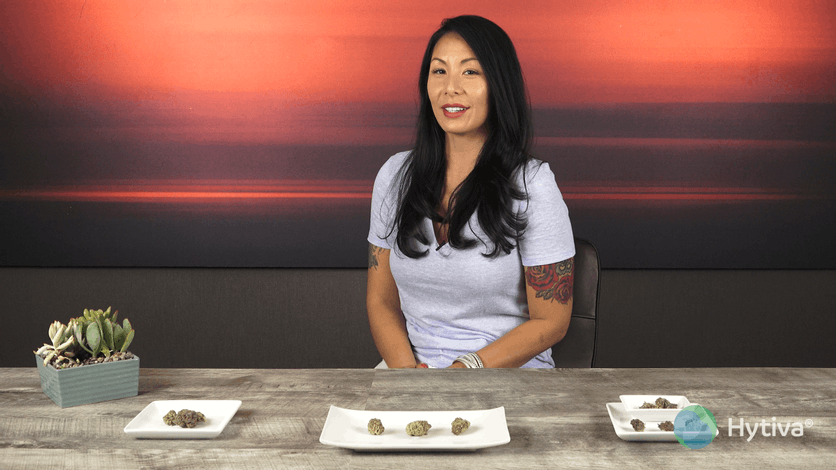 Strain Review: Ghost OG Youtube Video