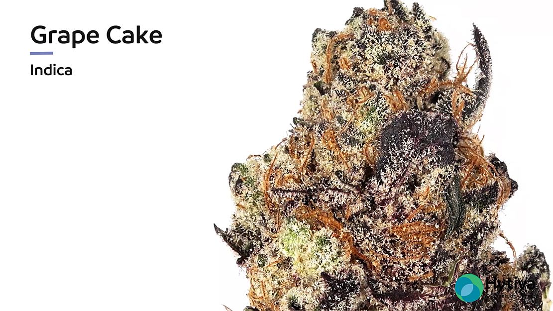 Strain Review Video: Grape Cake