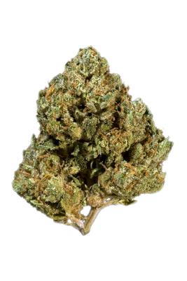 Gumbo - Indica Cannabis Strain by Hytiva Gumbo - Indica Cannabis Strain