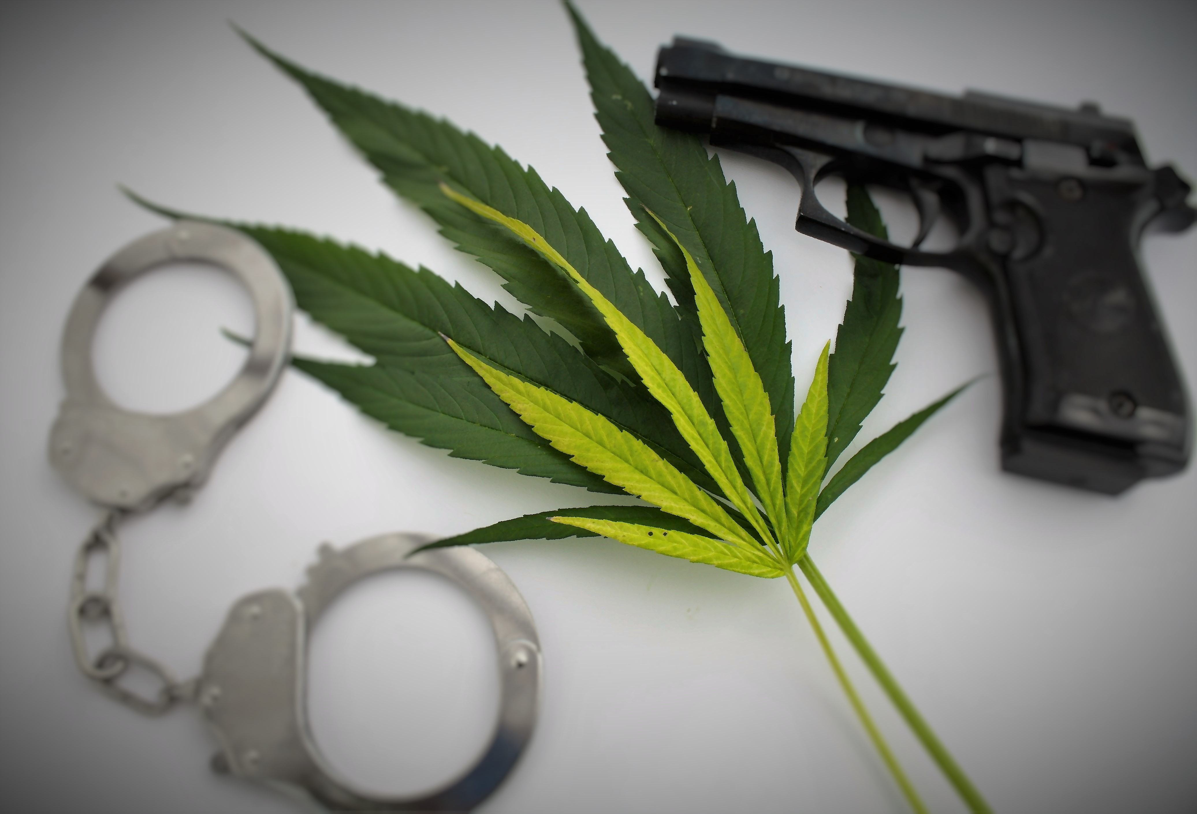 Ban on Cannabis Owners Bearing Arms found Unconstitutional