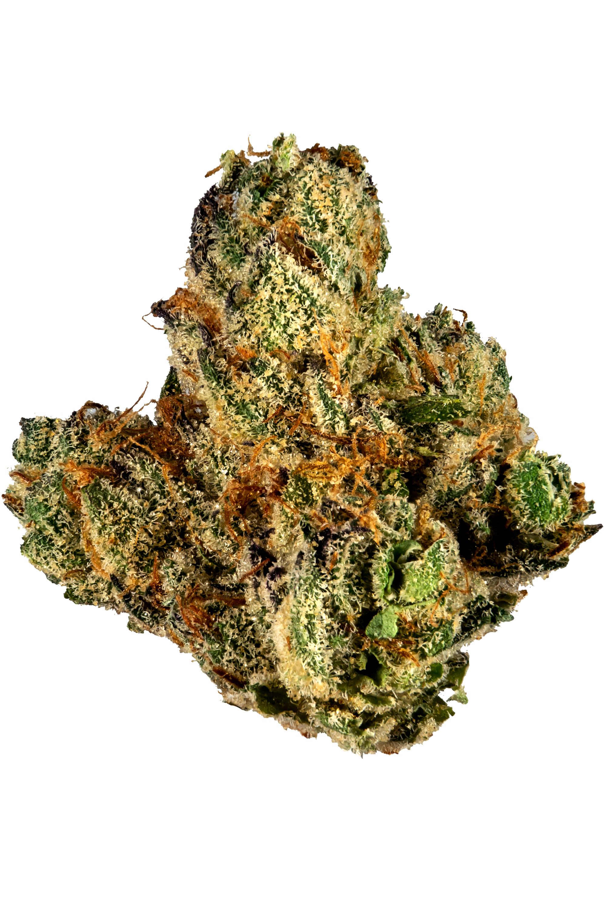 Hawaiian Butterscotch - Hybrid Cannabis Strain