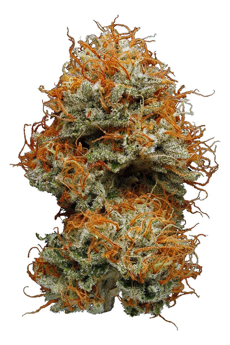 Hellfire OG - Hybrid Cannabis Strain
