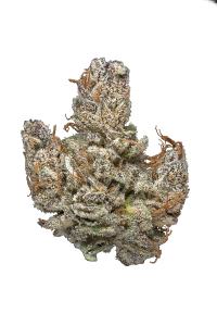 Hindu Kush - Indica Cannabis Strain by Hytiva Hindu Kush - Indica Cannabis Strain