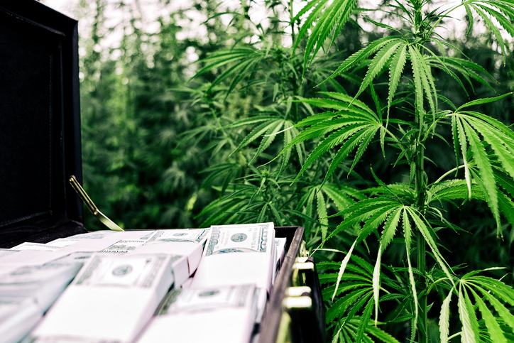 Banks Handling Cannabis Money in Nevada?