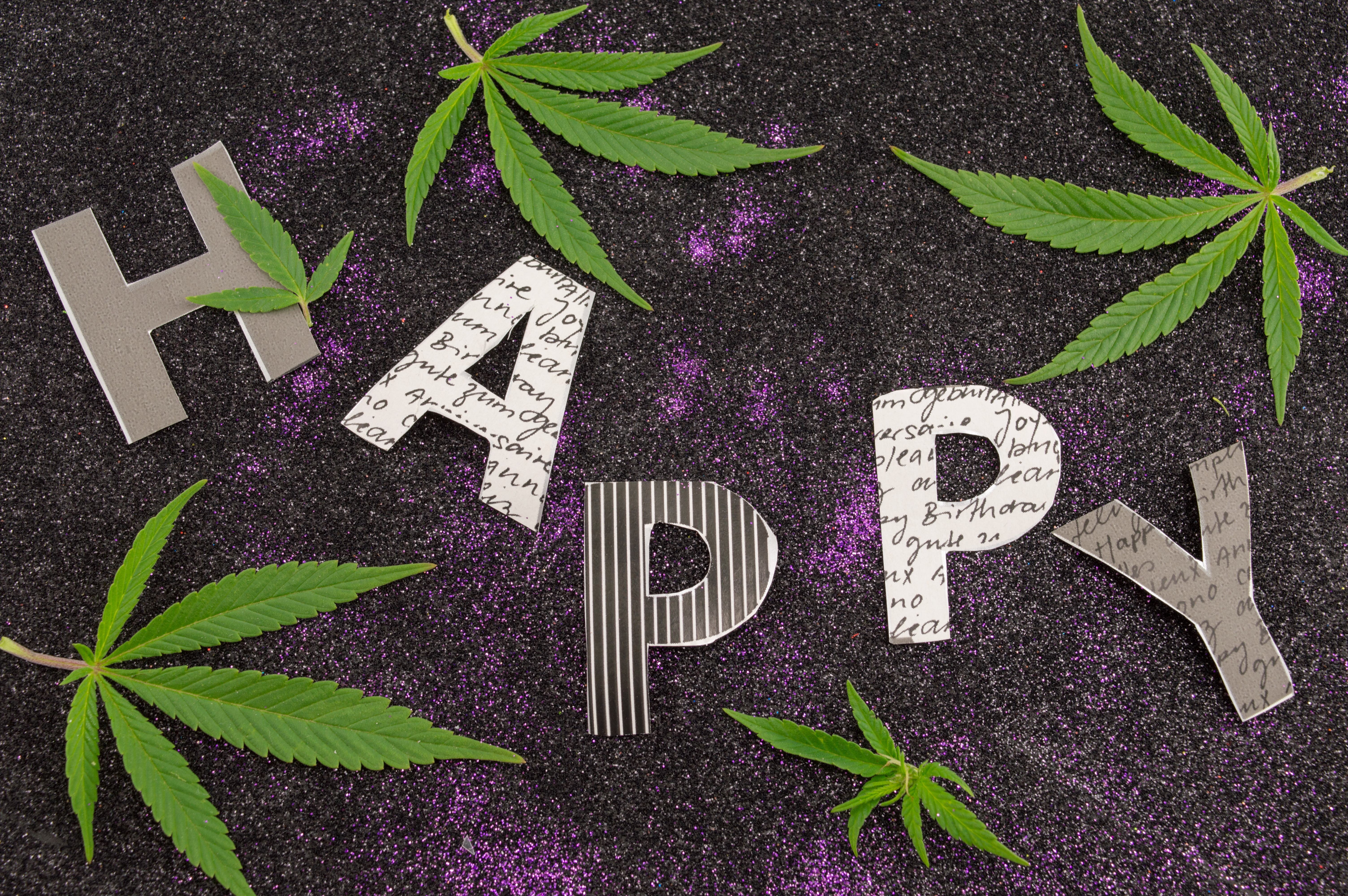 Party letters spell the wordy happy with marijuana leaves surrounding them.