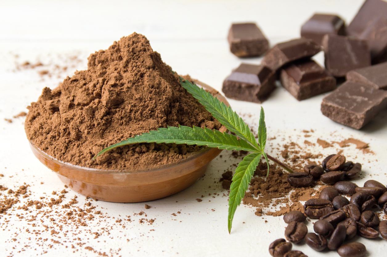 DIY: Cannabis-Infused Milk Chocolate