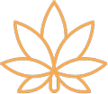 Properties & Variables of High-Grade Cannabis Flowers