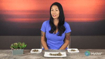 Inner Chi - Sativa Cannabis Strain by Hytiva Inner Chi - Sativa Strain