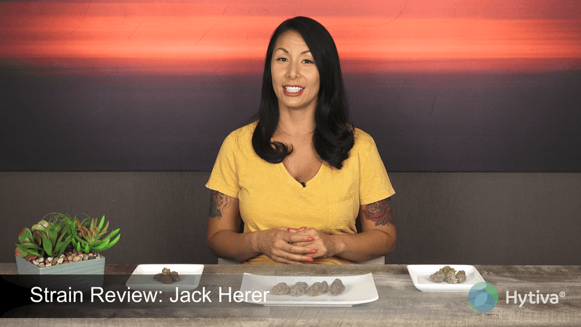 Strain Review: Jack Herer Youtube Video