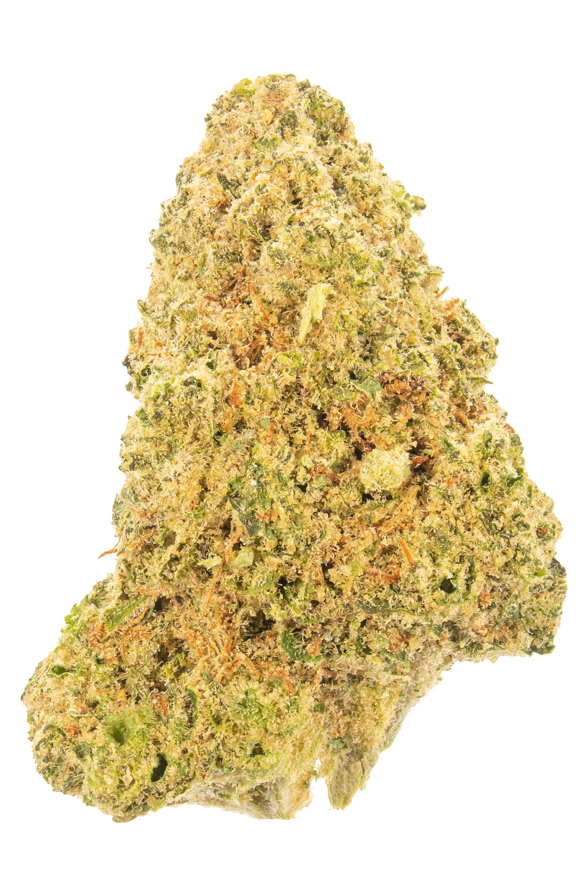 Kimbo - Hybrid Cannabis Strain