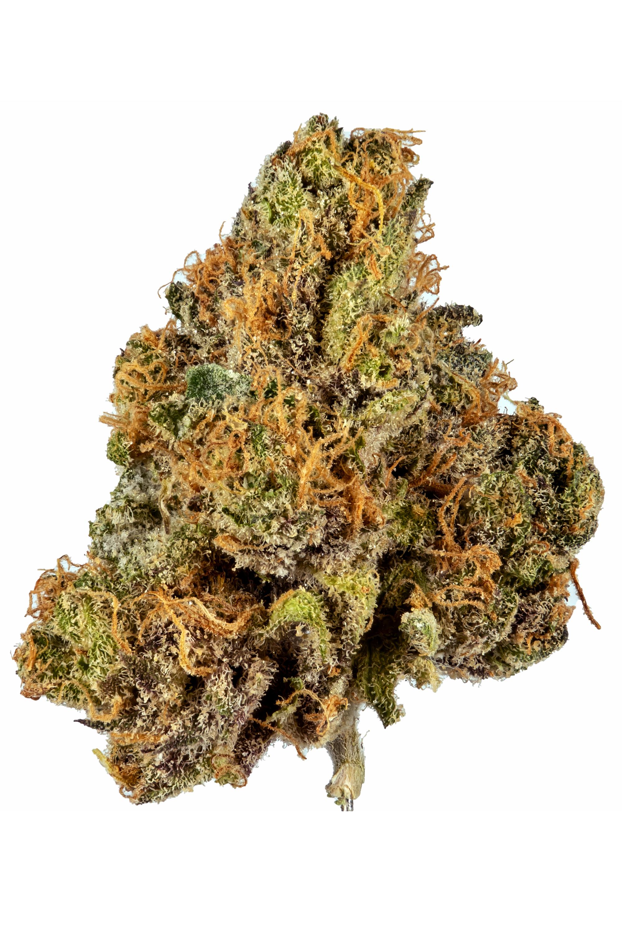 King Kong Cookies - Hybrid Cannabis Strain