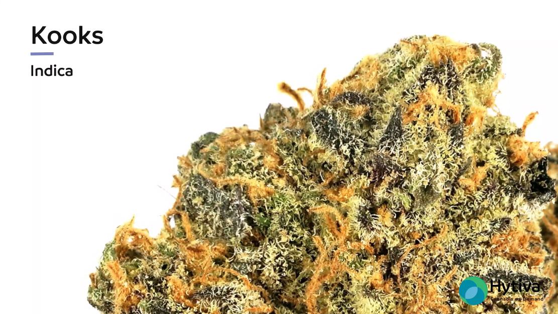 Strain Review Video: Kooks