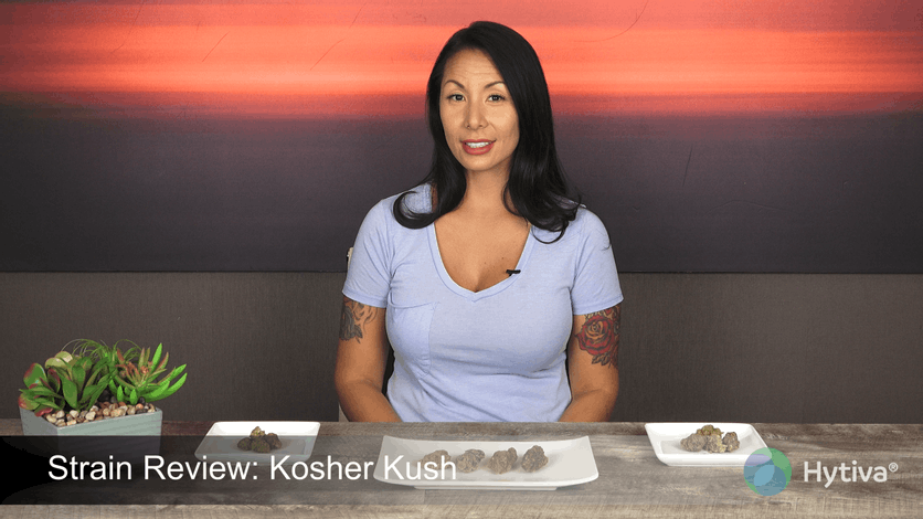 Strain Review: Kosher Kush Youtube Video