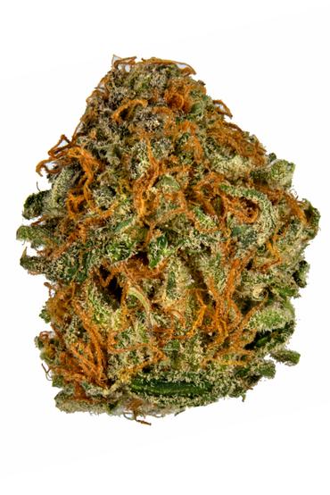 Lavender Jones - Hybrid Cannabis Strain by Hytiva Lavender Jones - Hybrid Cannabis Strain