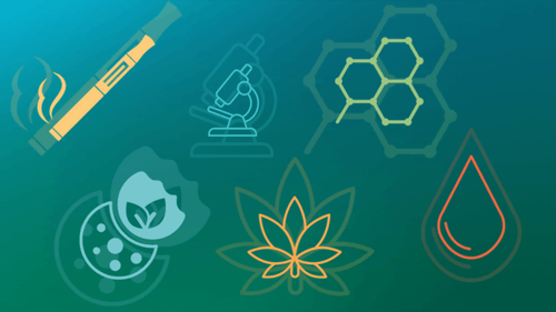 About Cannabis Extracts 